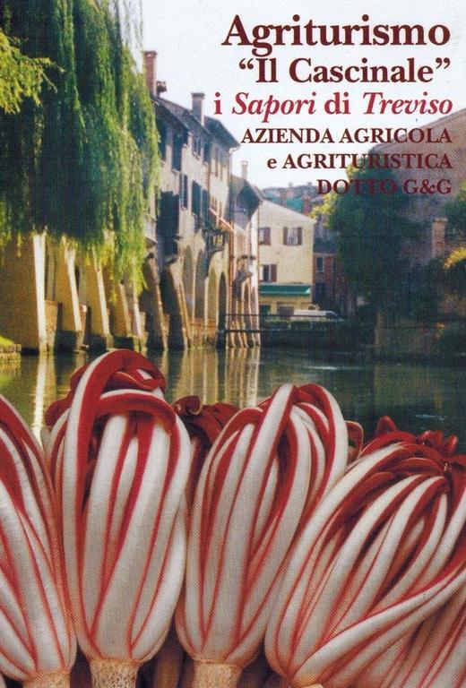 Agriturismo Il Cascinale 트레비소 외부 사진